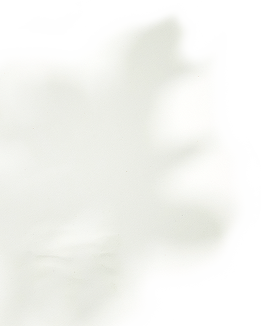 잎사귀 일러스트