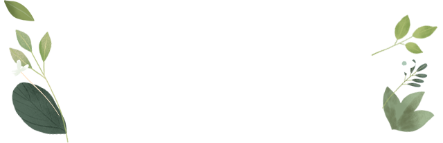 꽃이미지