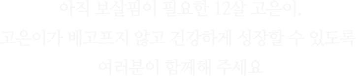 아직 보살핌이 필요한 12살 고은이.고은이가 배고프지않고 건강하게 성장할 수 있도록여러분이 함께해 주세요.