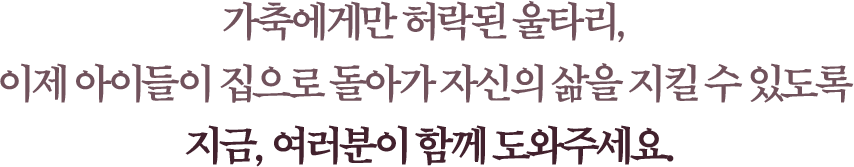 가축에게만 허락된 울타리, 이제 아이들이 집으로 돌아가 자신의 삶을 지킬 수 있도록 지금, 여러분이 함께 도와주세요.