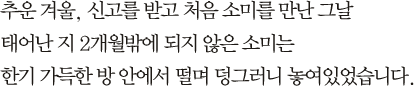 추운 겨울, 신고를 받고 처음 소미를 만난 그날 태어난 지 2개월밖에 되지 않은 소미는 한기 가득한 방 안에서 떨며 덩그러니 놓여있었습니다.