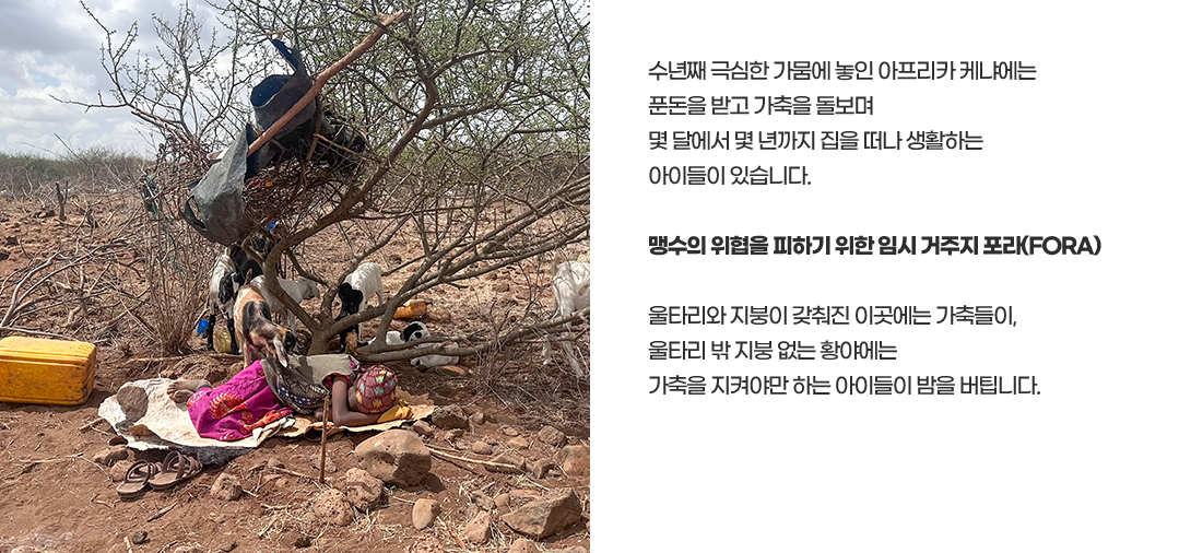 키다리아저씨 되기